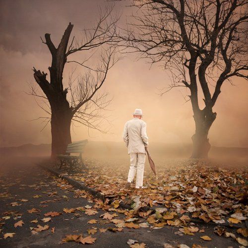 Autumn walking