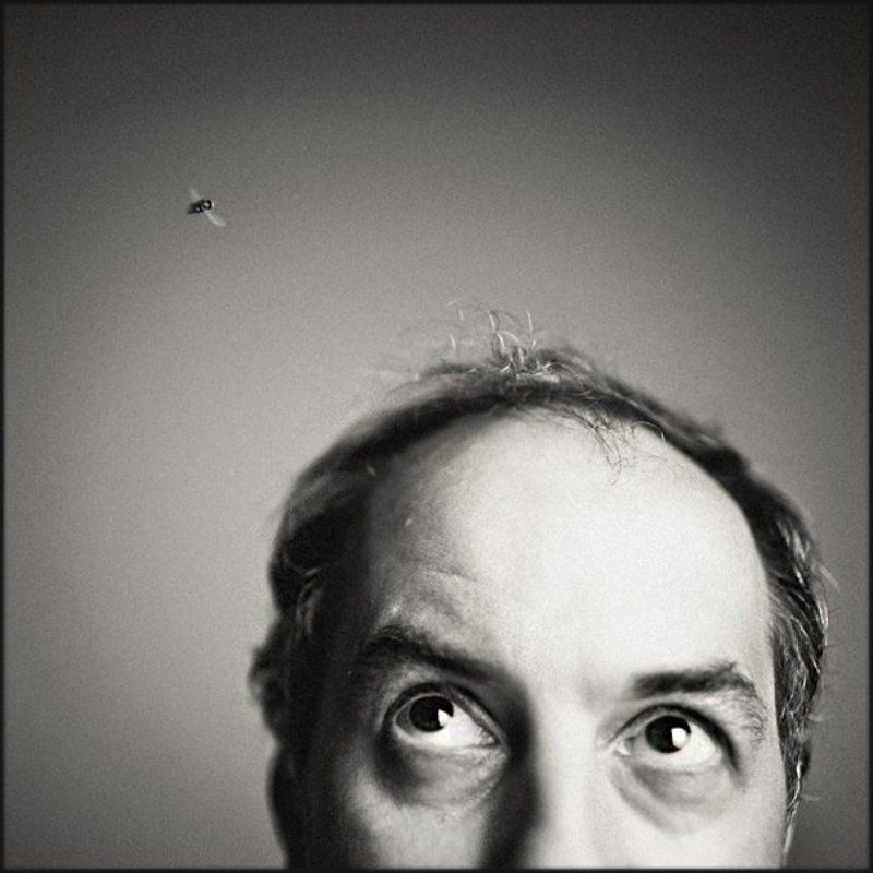 Еврей и муха фото превью