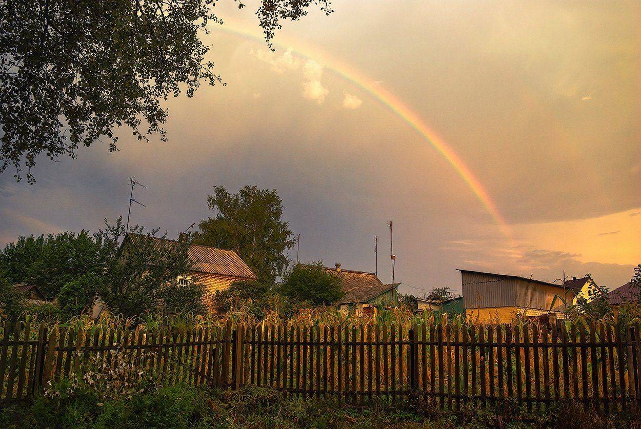 , Игорь Мелекесцев