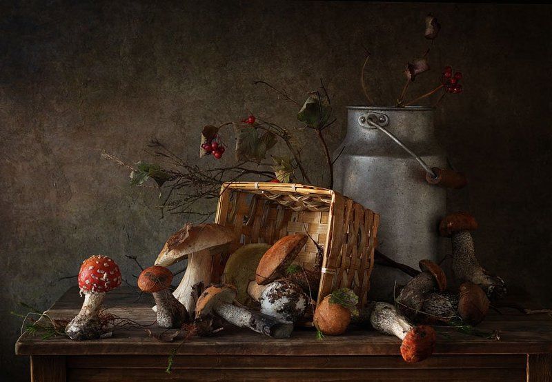 история про мухоморчик фото превью