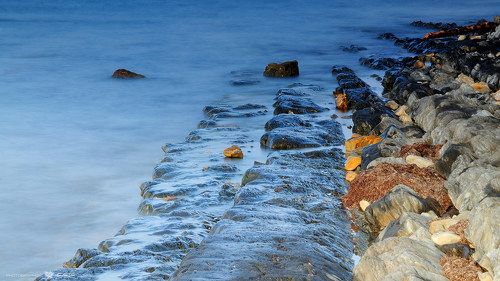 В утреннем бризе