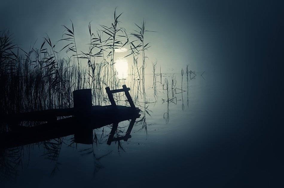 , Rimantas Bikulcius