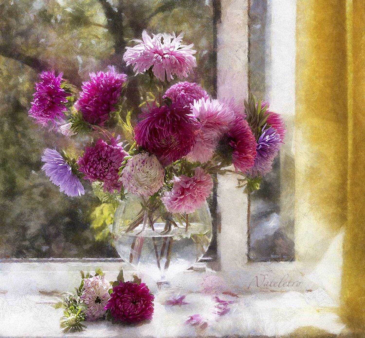 натюрморт, цветы, астры, Наталья Кузнецова (Nateletro)