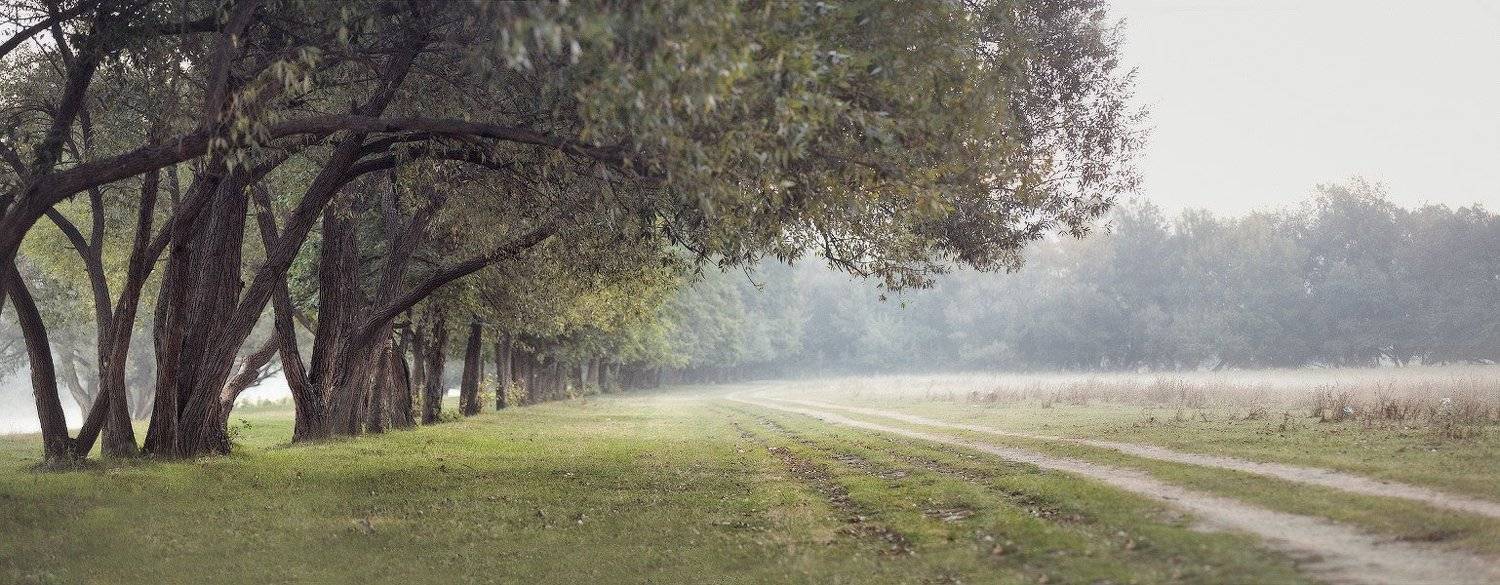 август, лето, украина, утро, южный, буг, Вейзе Максим