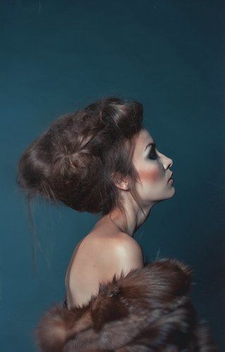 Swan & Fox