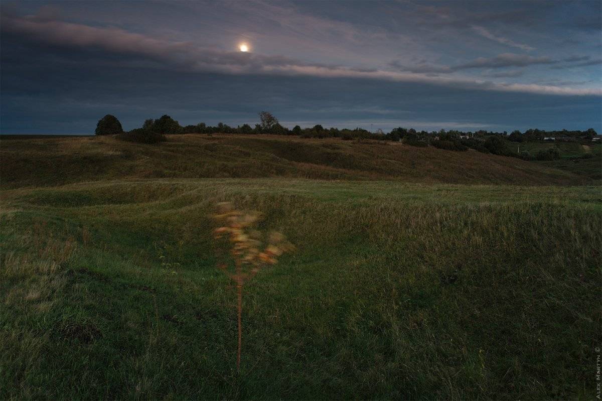 , Alexander Martynov