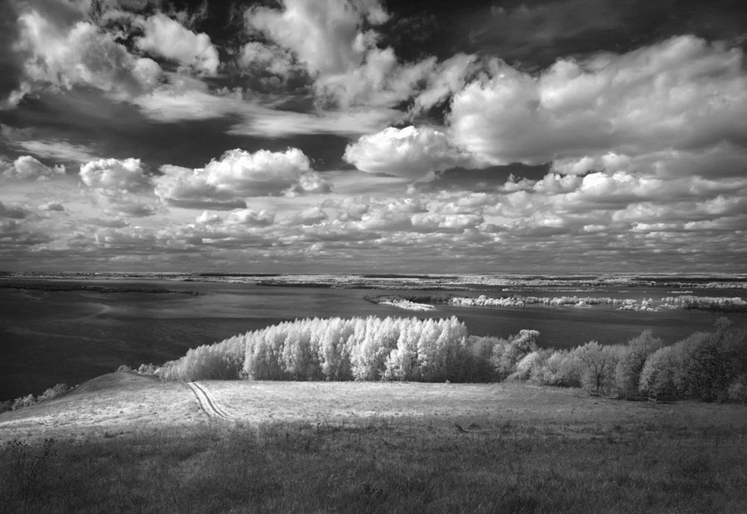 ir, Эдуард VTORNIK  Николаев