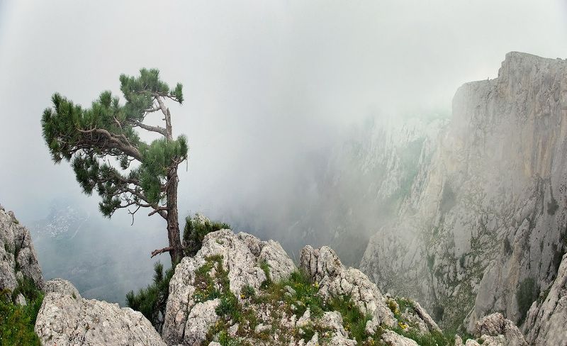 Гуляя в облаках... фото превью