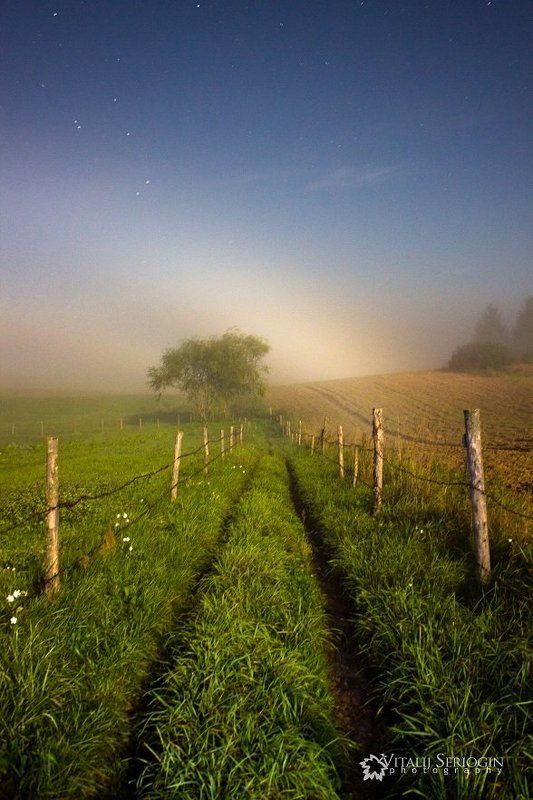 радуга, туман, ноч, луна, дерево, поле Лунная радуга фото превью