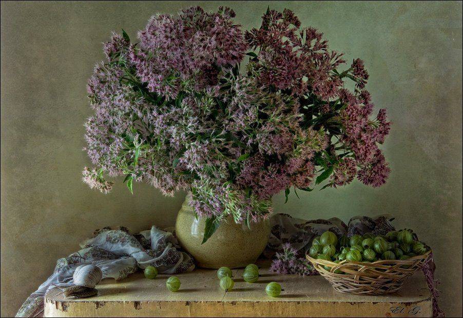 натюрморт, цветы, крыжовник, лето, розовое, зелёное, still, life, flowers, summer, pink, gooseberry, green, El. G.