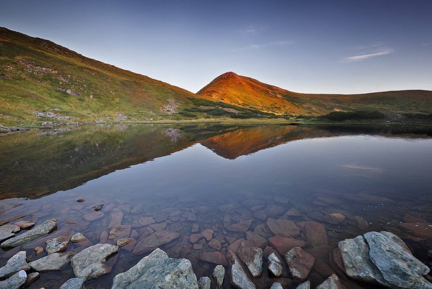 , Денис Кривой