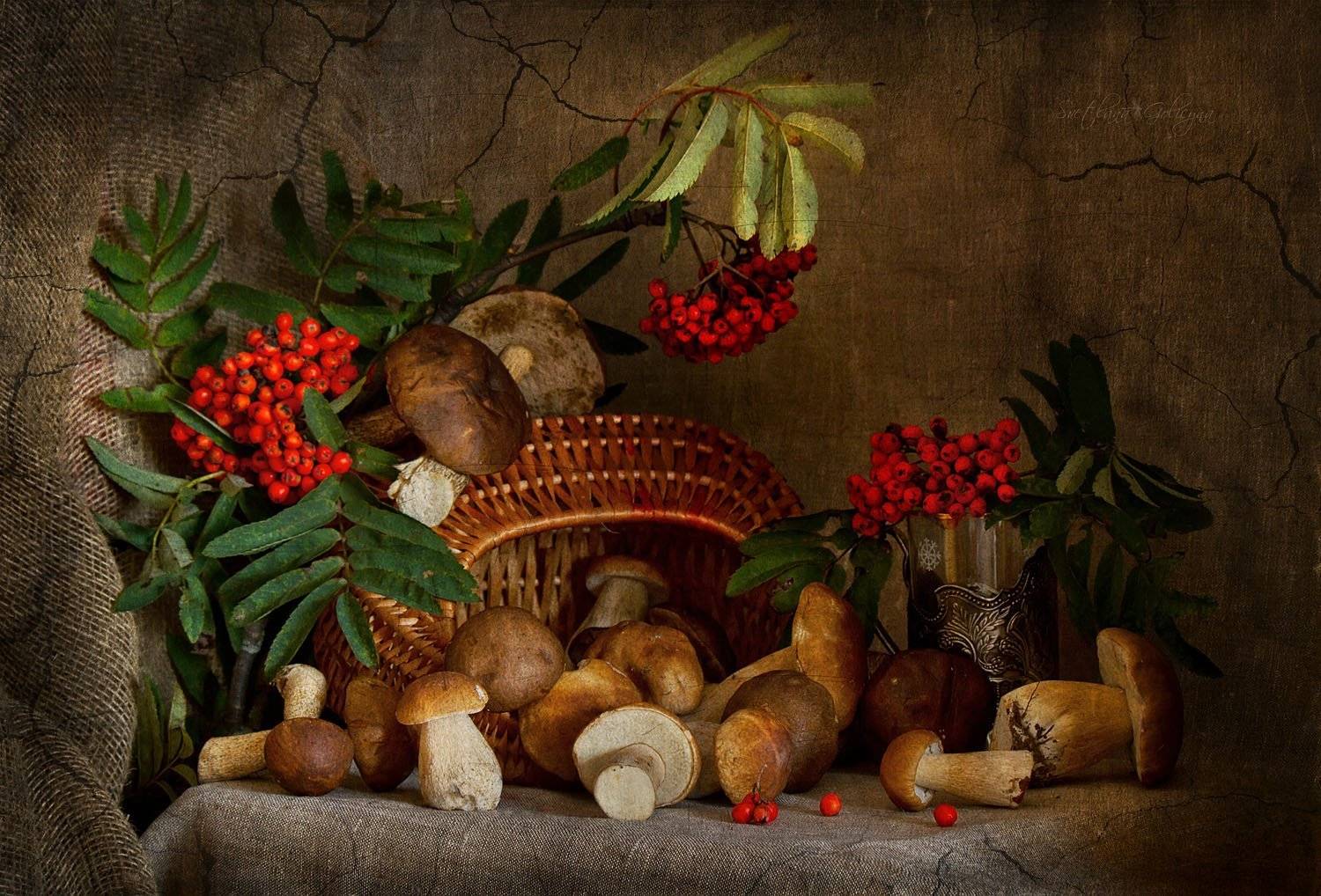 натюрморт, грибы, рябина, осень, светлана голицына