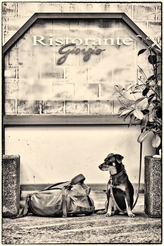 Очень хочется есть ... фото превью