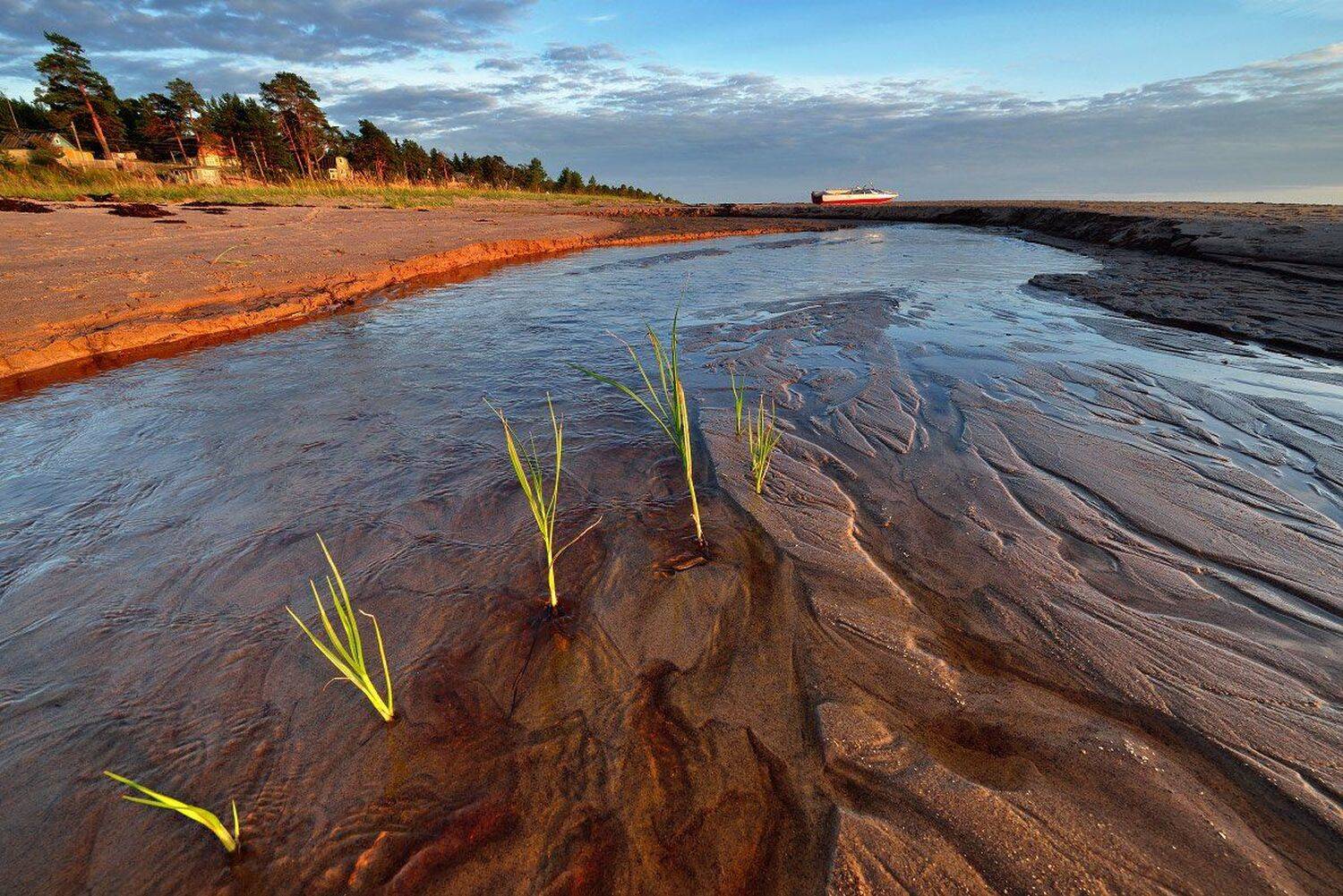 , Максим Евдокимов