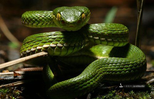 Southern Guangdong wilderness