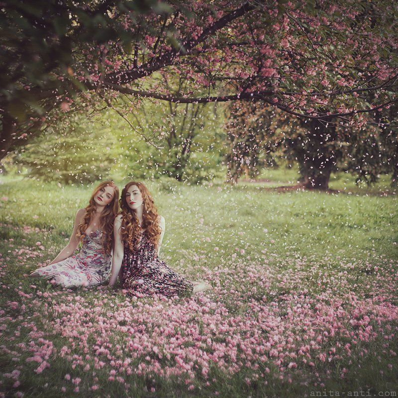 ♥ фото превью