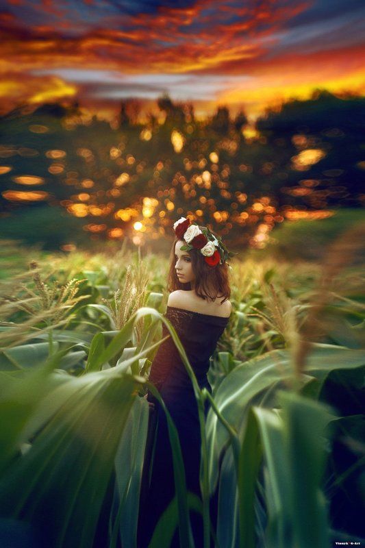 * фото превью