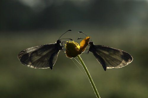 Утро для двоих