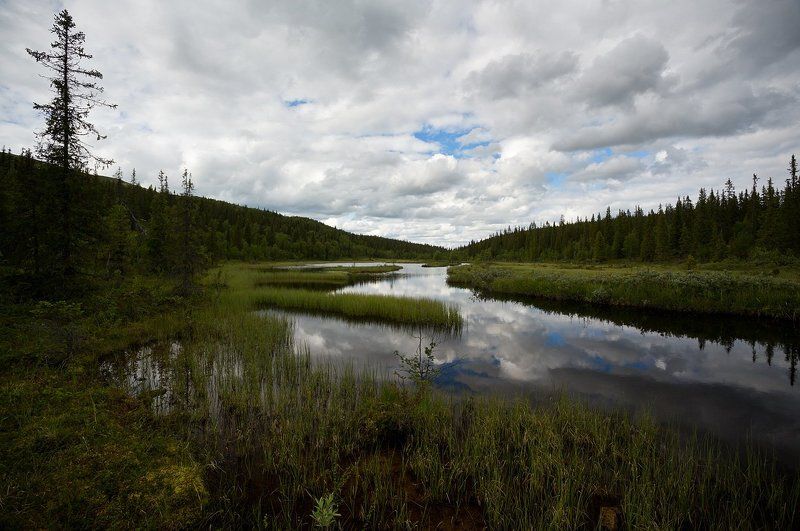кольский, полуостров, лето, речка, хариусная Тихий омут фото превью