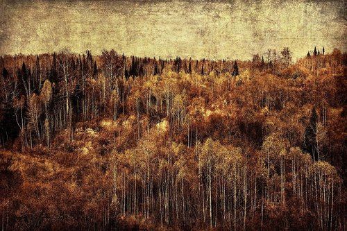 Ржавая осень
