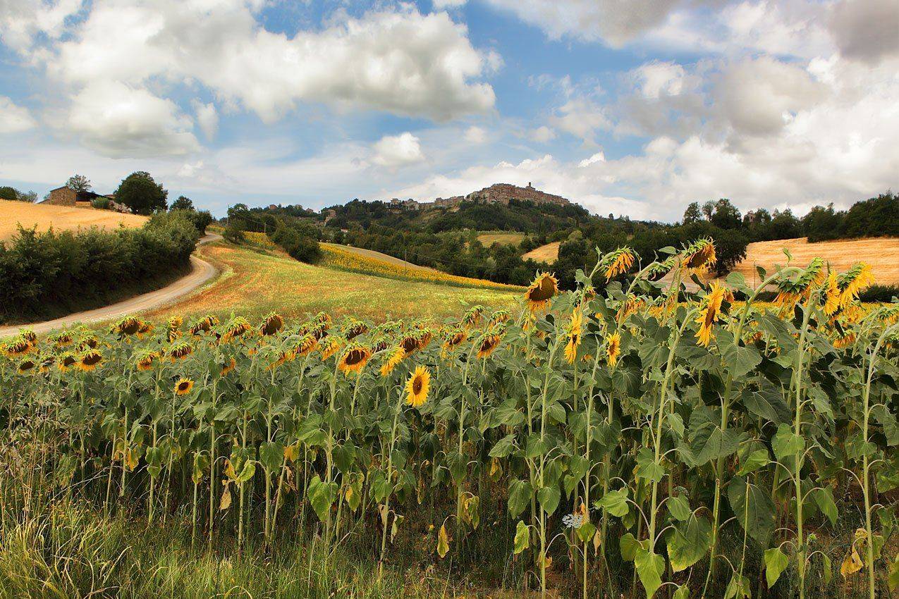италия, тоскана, Игорь Дубровский