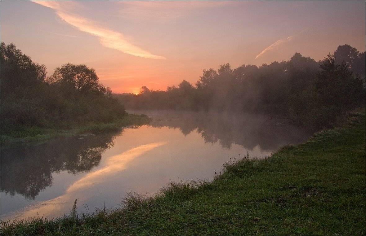 , Николай Шахманцир