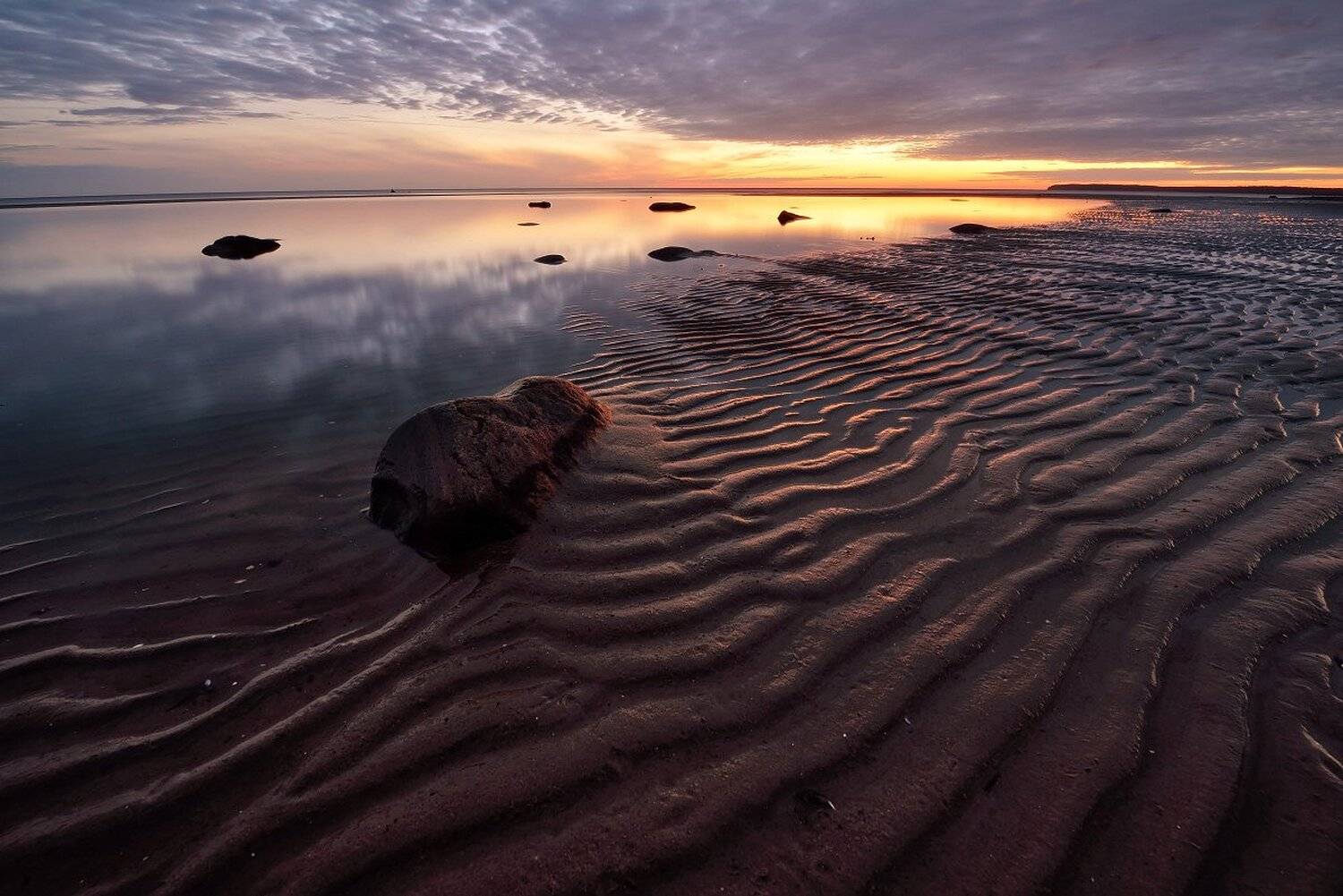 , Максим Евдокимов