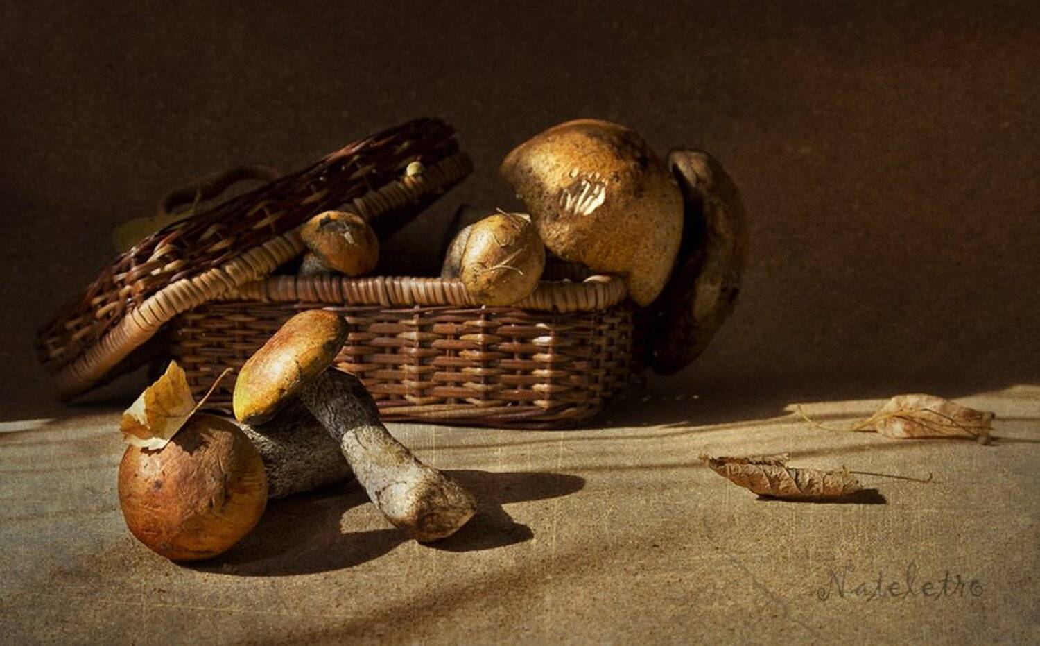 натюрморт, грибы, Наталья Кузнецова (Nateletro)