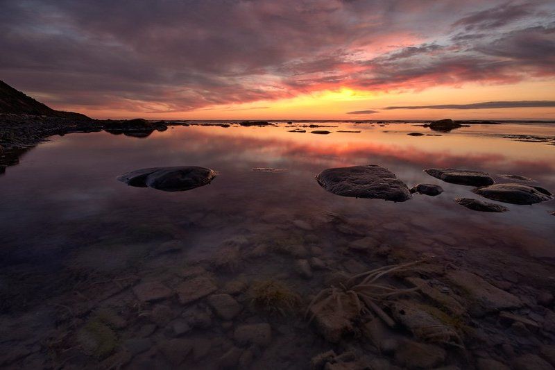 Белая ночь и Белое море фото превью