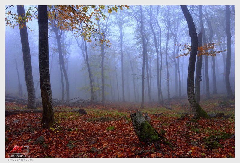 гора, бештау, кмв, осень, пятигорск Бештау в тумане фото превью