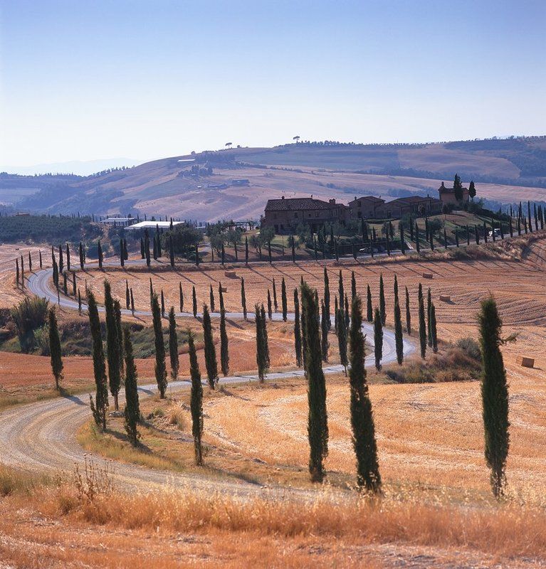 TOSCANA фото превью