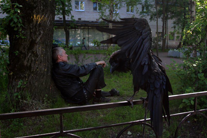 уличная сцена. фото превью