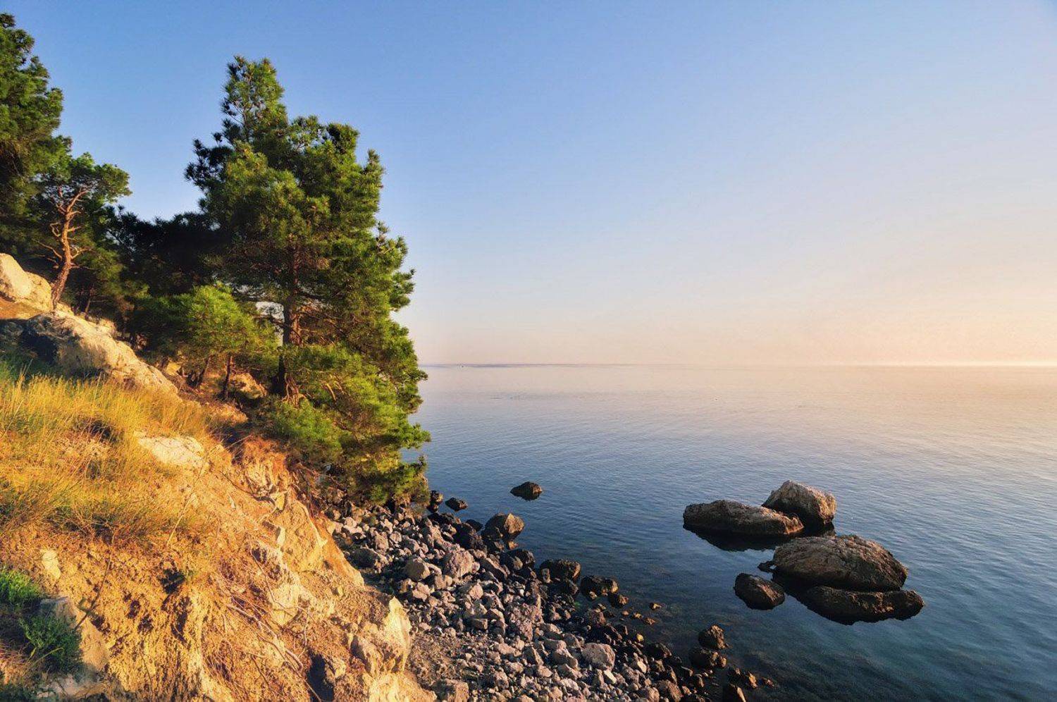 , Александр Решитько