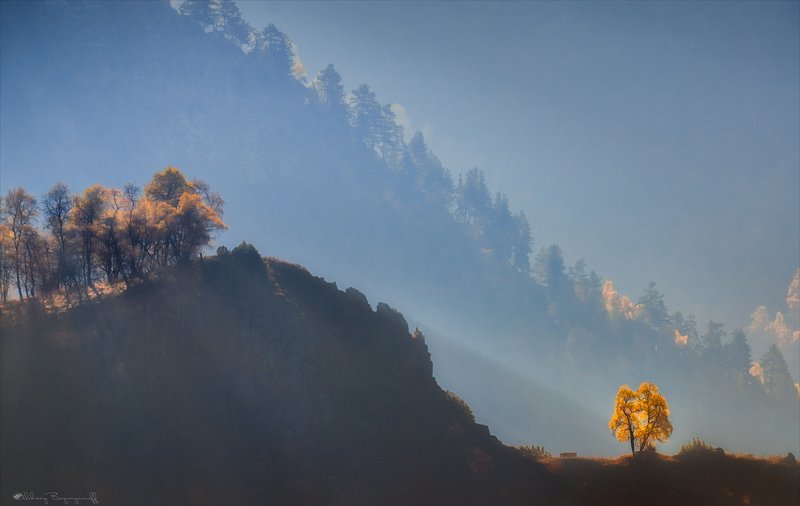 Пробуждение. фото превью