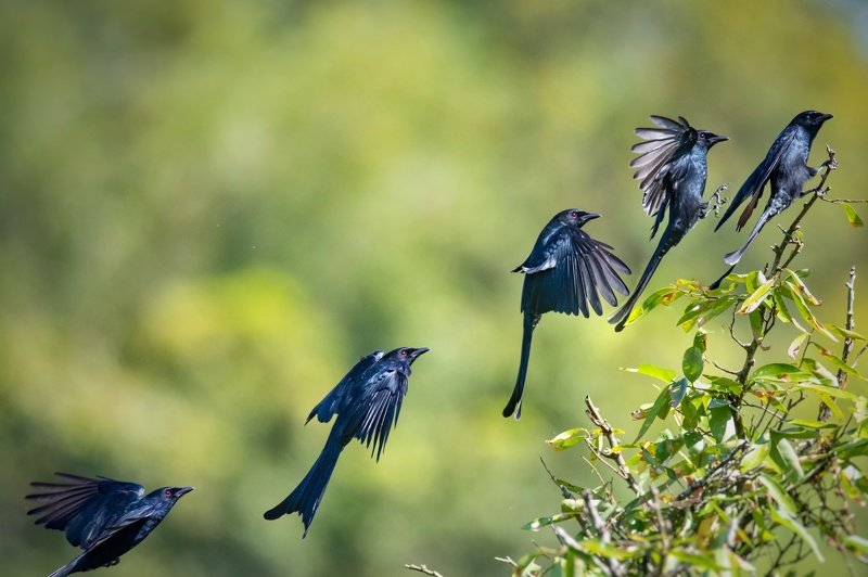 Take off фото превью