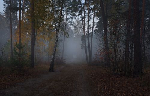В сумраке восходящего рассвета