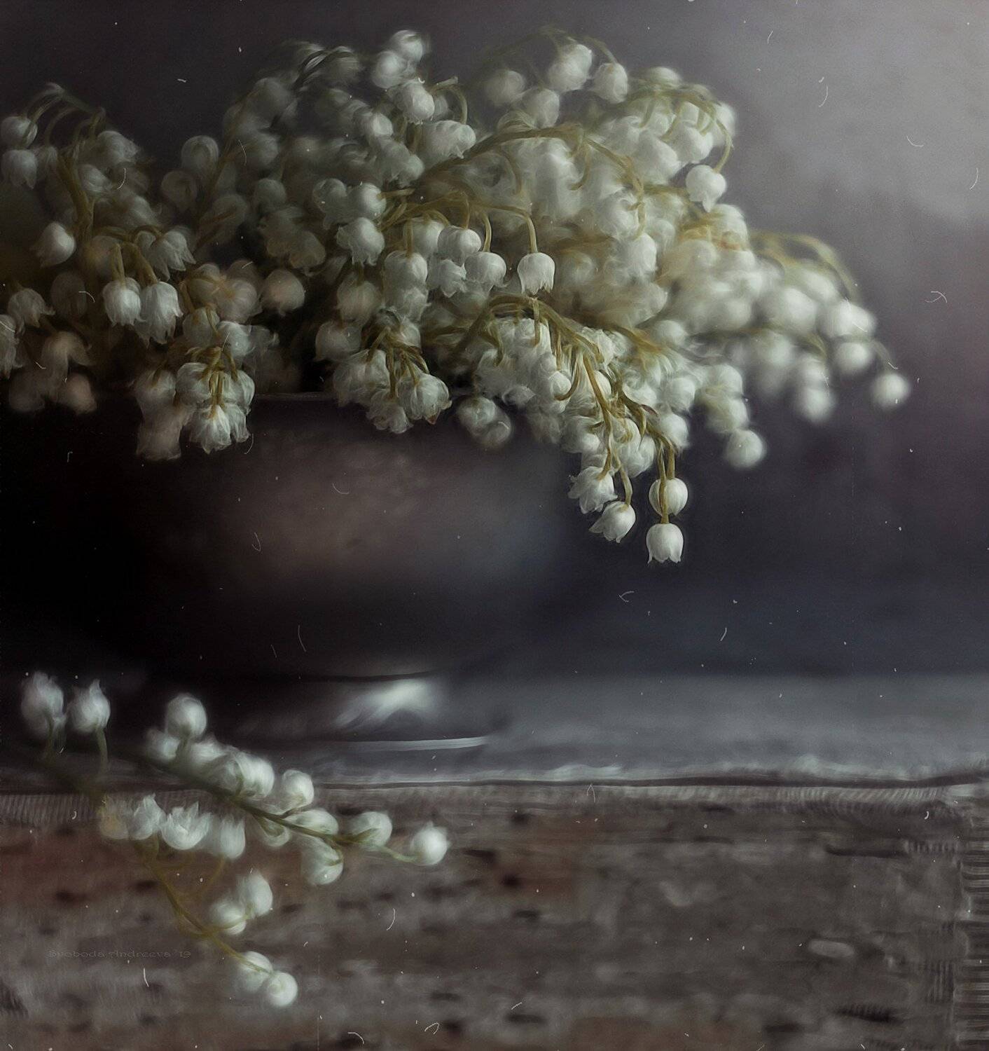 , Svoboda Andreeva