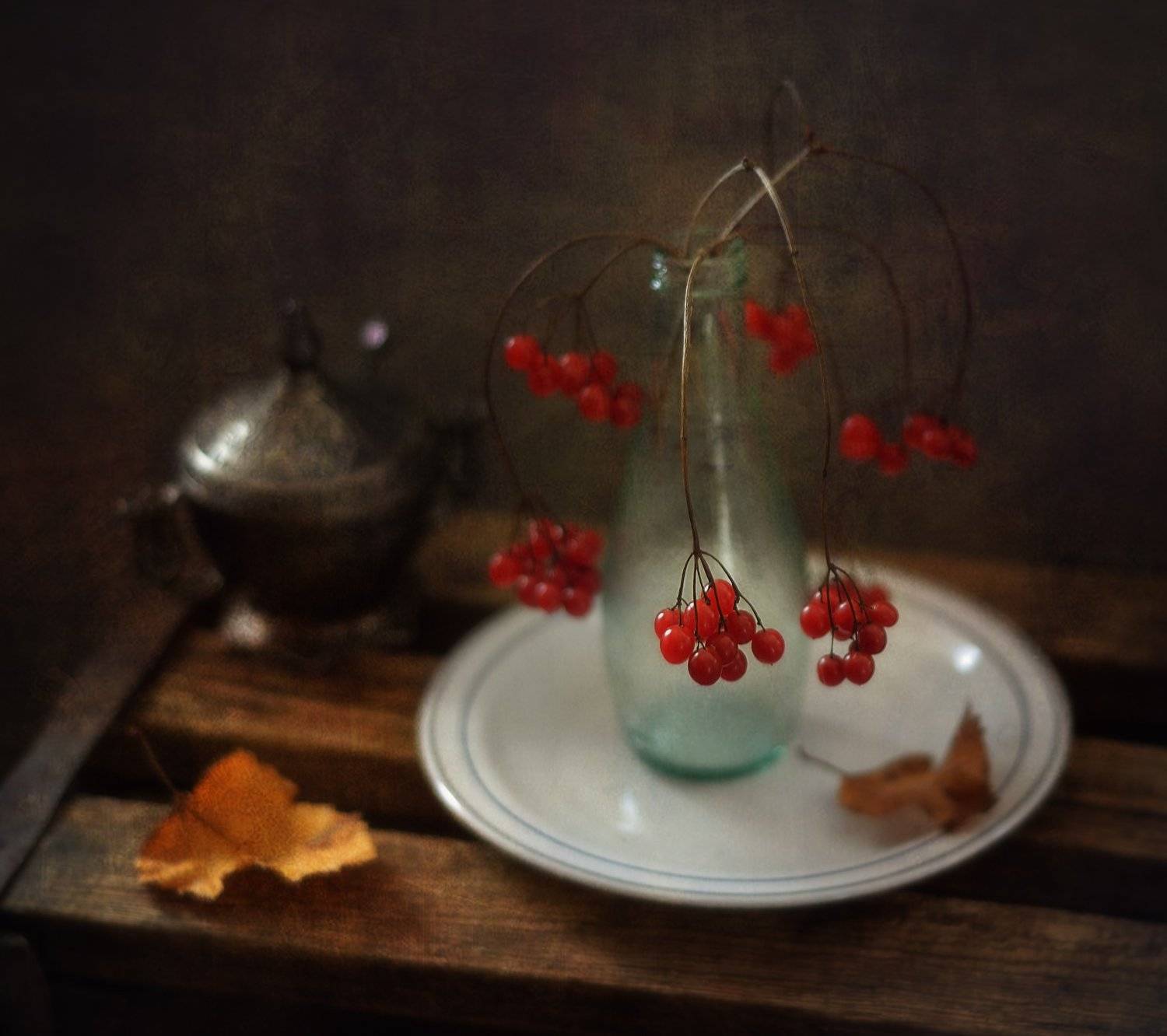 натюрморт,калина,осень, Наталия К