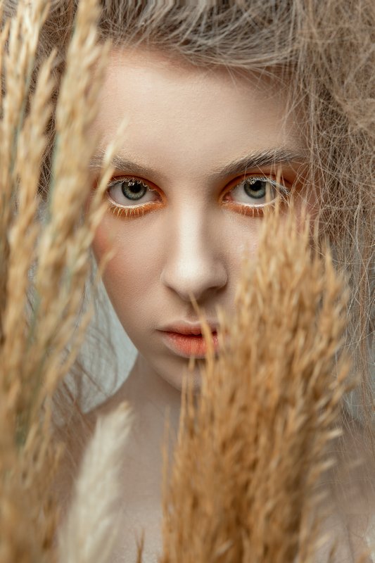 портрет Dried flower фото превью