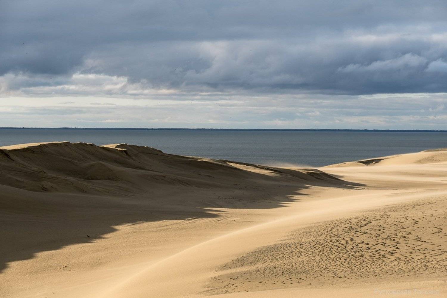 , Татьяна Рутковская