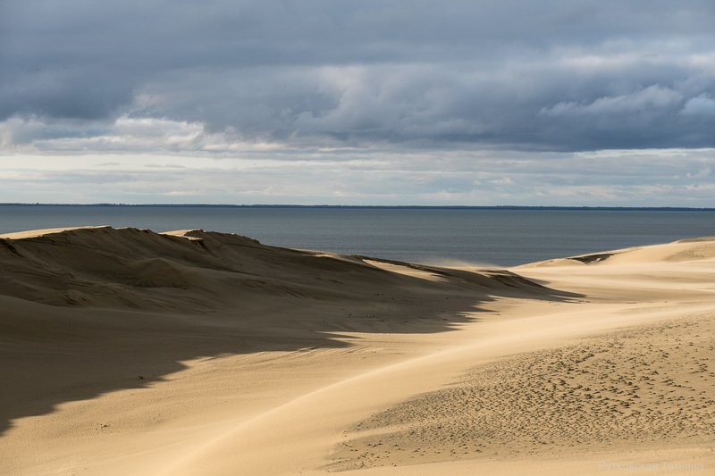 В дюнах фото превью