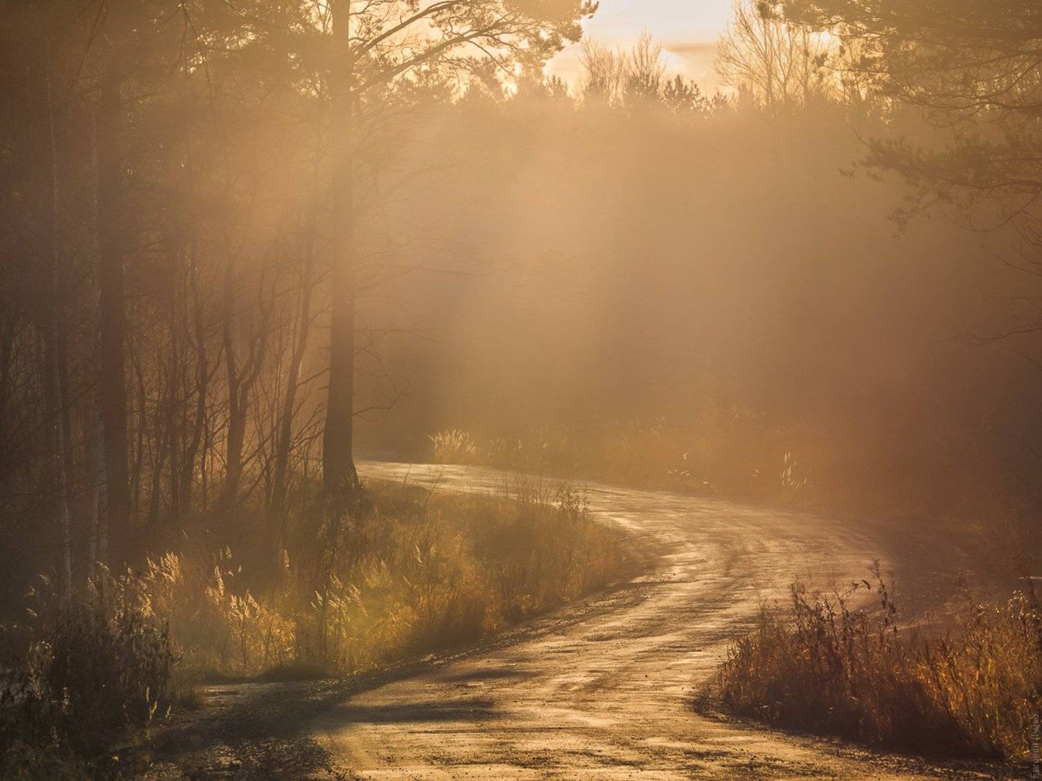 , Евгений Луцко