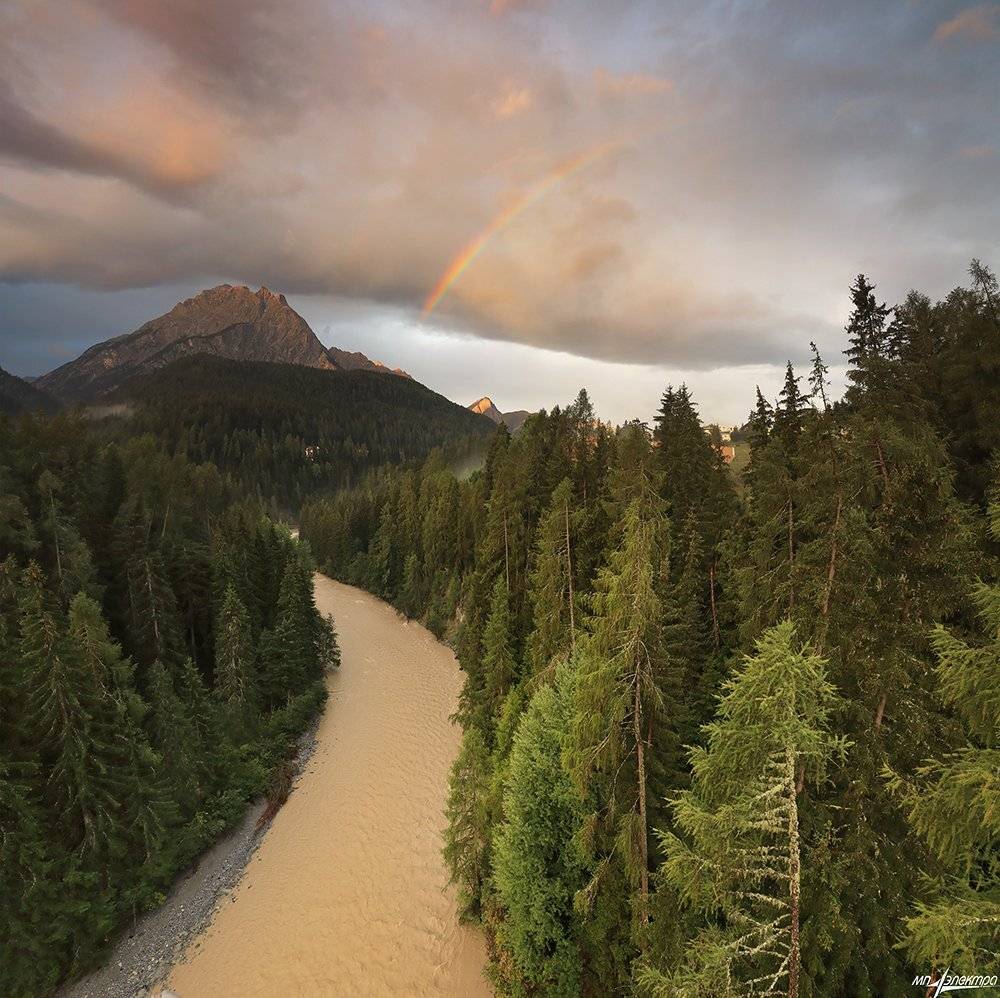 swiss, Матвеев Николай