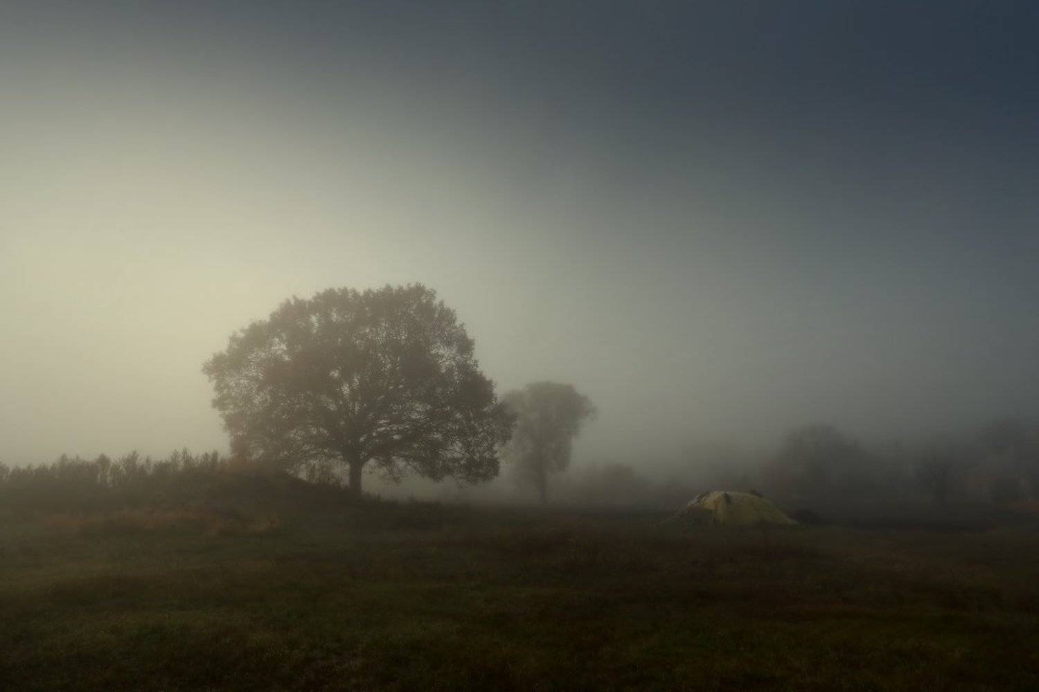 туман утро осень, Петриченко Валерий