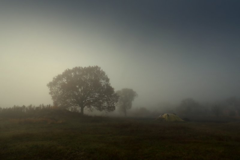 туман утро осень Про туман фото превью