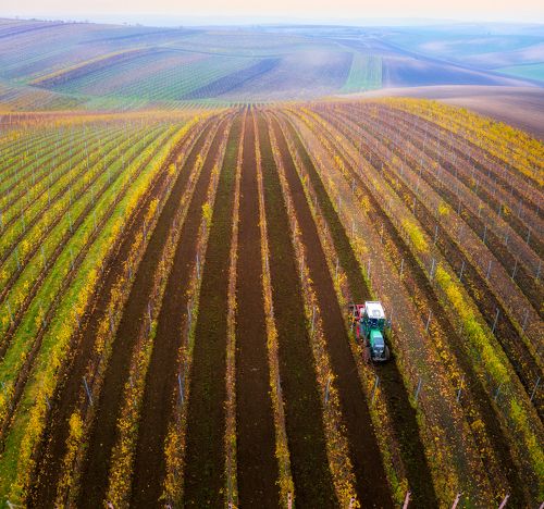 Про линии, текстуры и эгрикалчер концепт...)