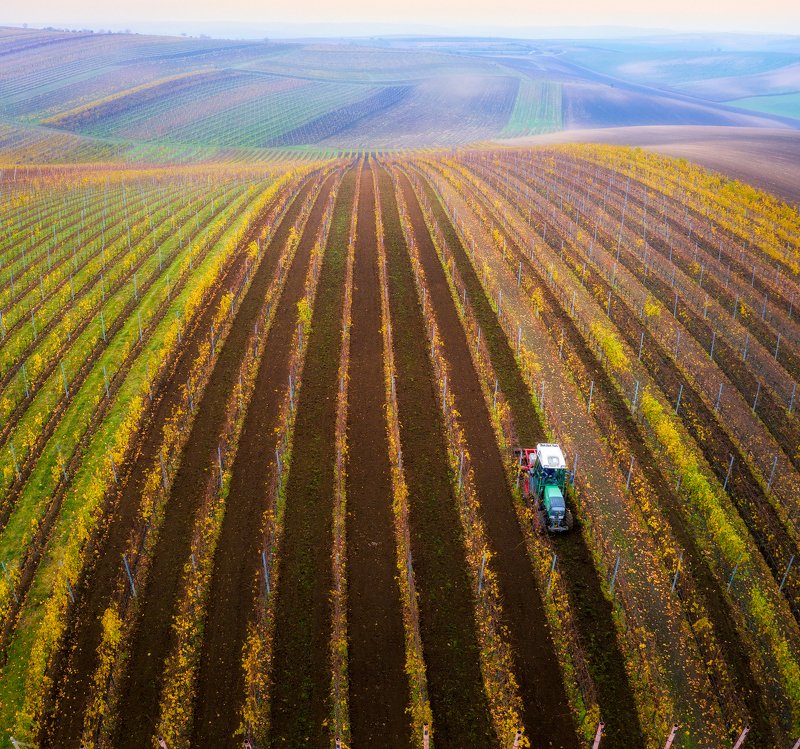 пейзаж, моравия, осень, Про линии, текстуры и эгрикалчер концепт...) фото превью