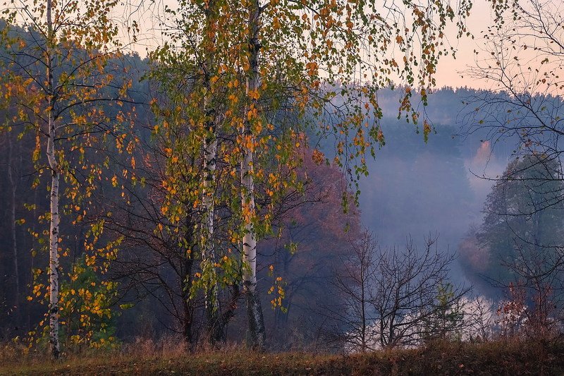 На пороге осень фото превью