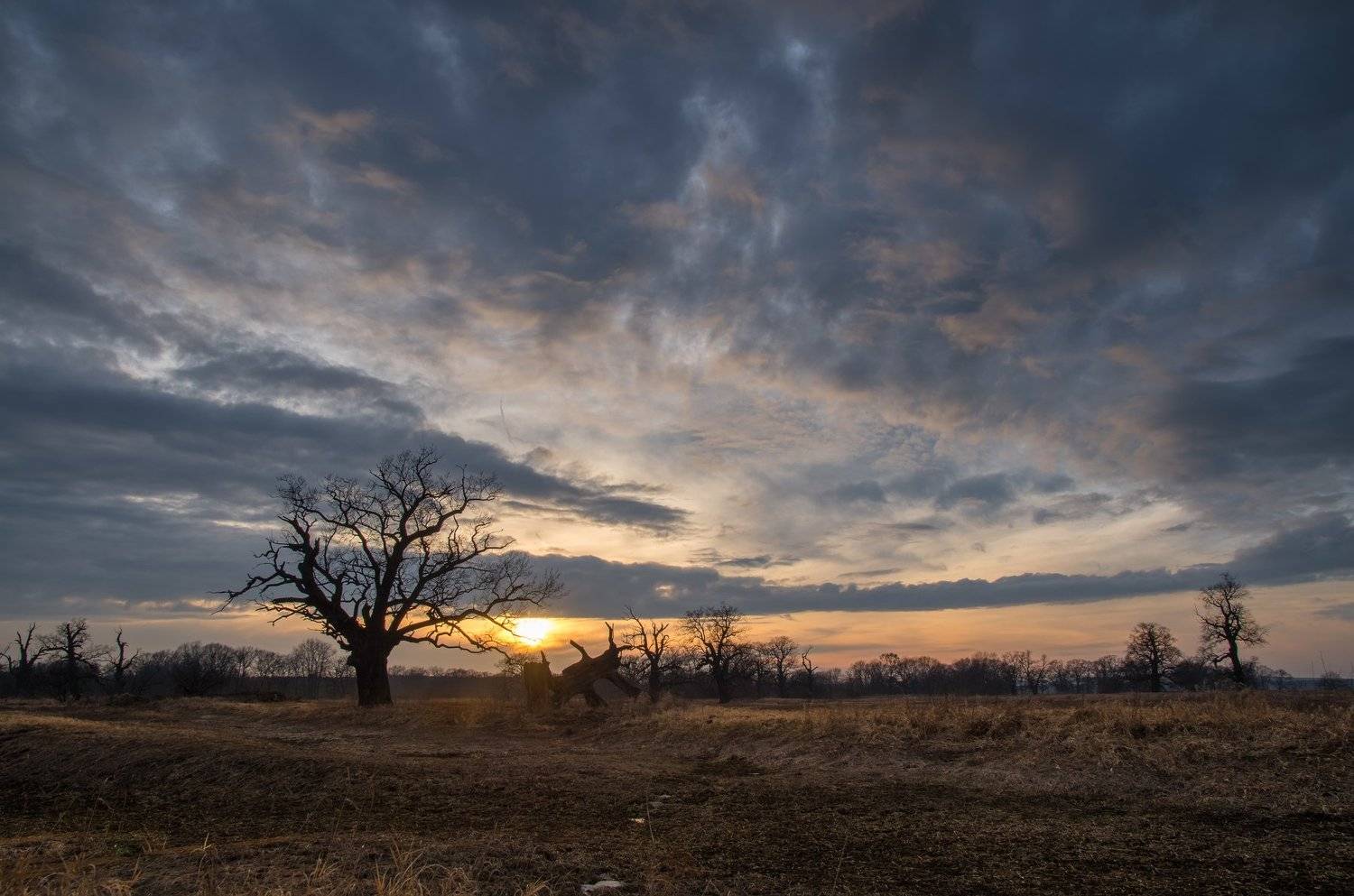 , Maciej Werbliński