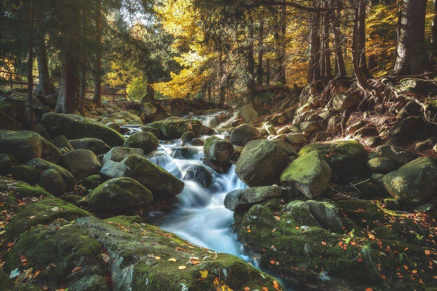 landscape,canon,mist,light,autumn,waterfall, Iza i Darek Mitręga